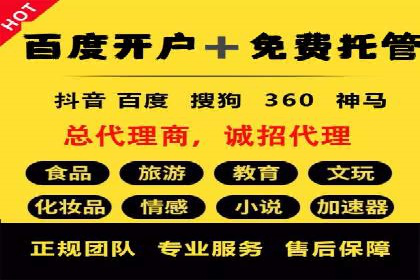 SEM广告投放的竞价策略与效果评估案例